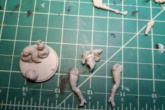 halloween_vixen-pieces3-scaled