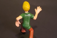 shaggy-back